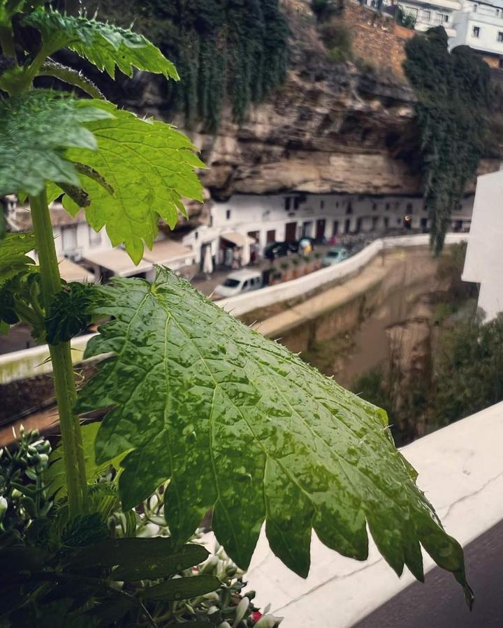 فيلا Casa Bajo La Roca Setenil De Las Bodegas المظهر الخارجي الصورة