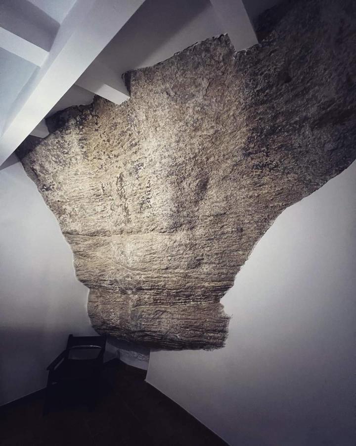 فيلا Casa Bajo La Roca Setenil De Las Bodegas المظهر الخارجي الصورة