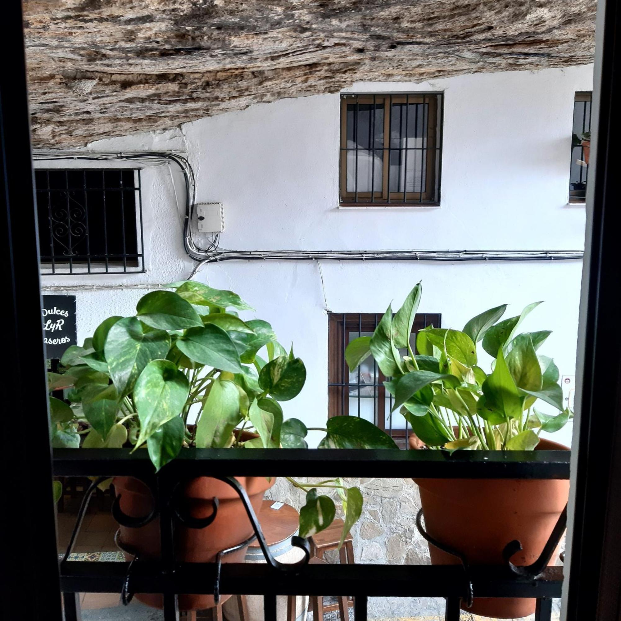 فيلا Casa Bajo La Roca Setenil De Las Bodegas المظهر الخارجي الصورة